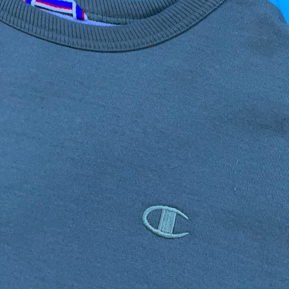 Champion sweater
